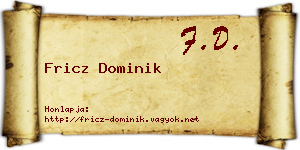 Fricz Dominik névjegykártya